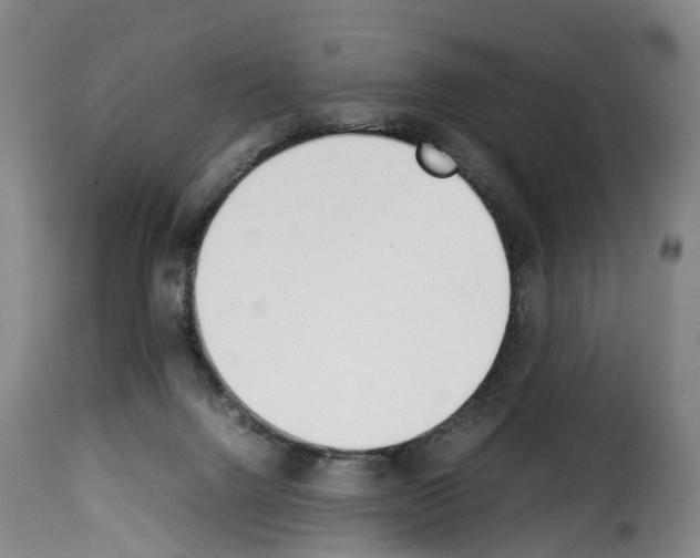 X0000114230072200911201120