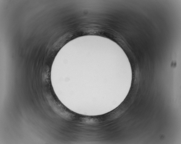 X0000114230073200911201120
