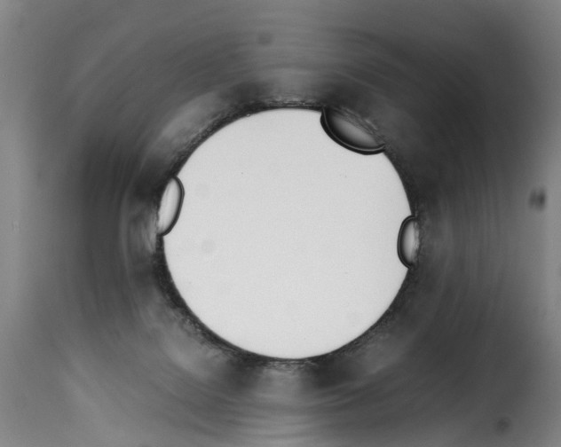 X0000114230076200911201120