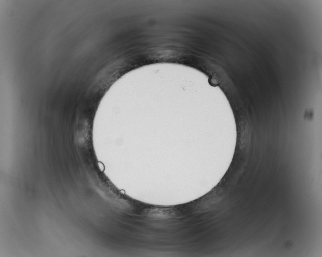 X0000114230077200911201120