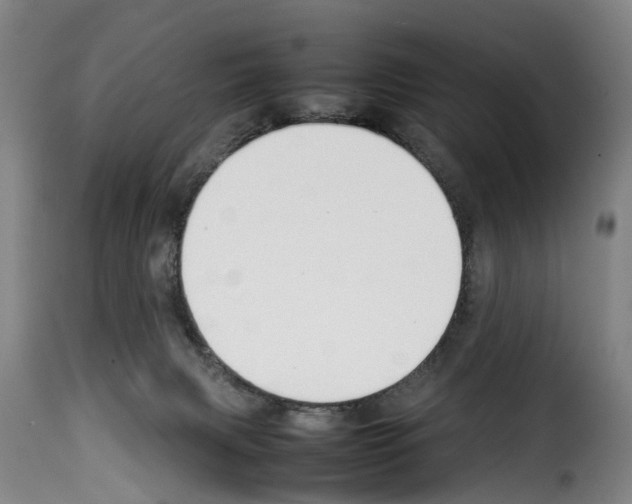 X0000114230079200911201120