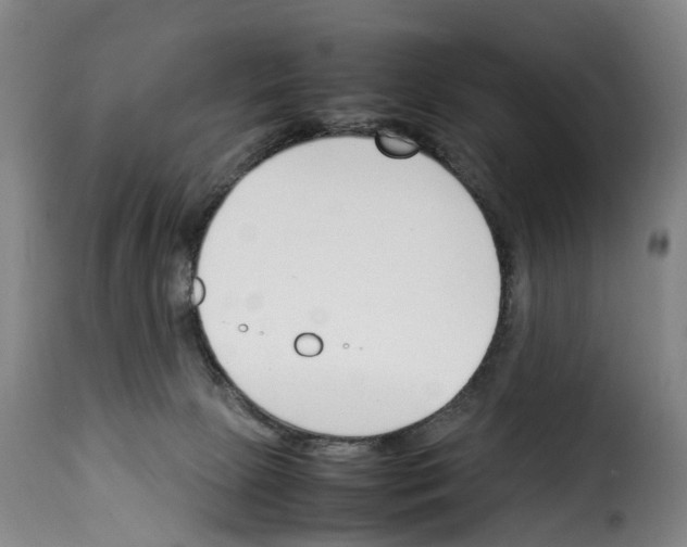 X0000114230081200911201120
