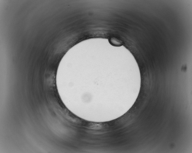 X0000114230083200911201120