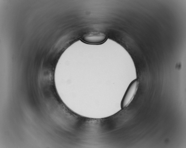 X0000114230084200911201120