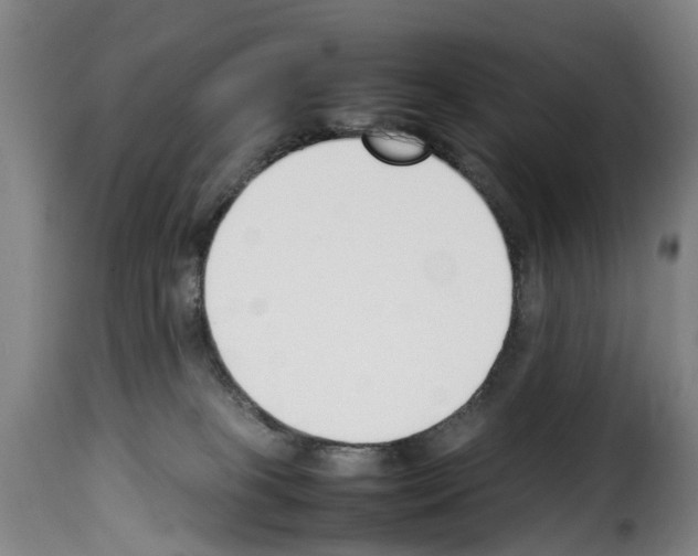 X0000114230085200911201120