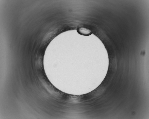 X0000114230088200911201120
