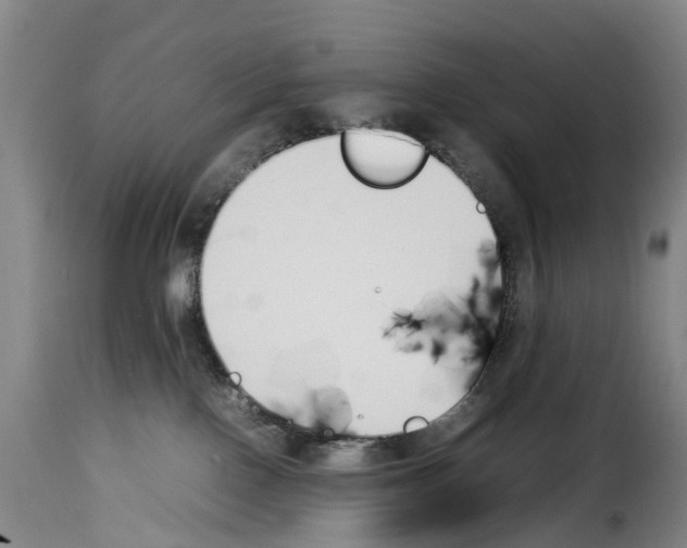 X0000114230090200911201120