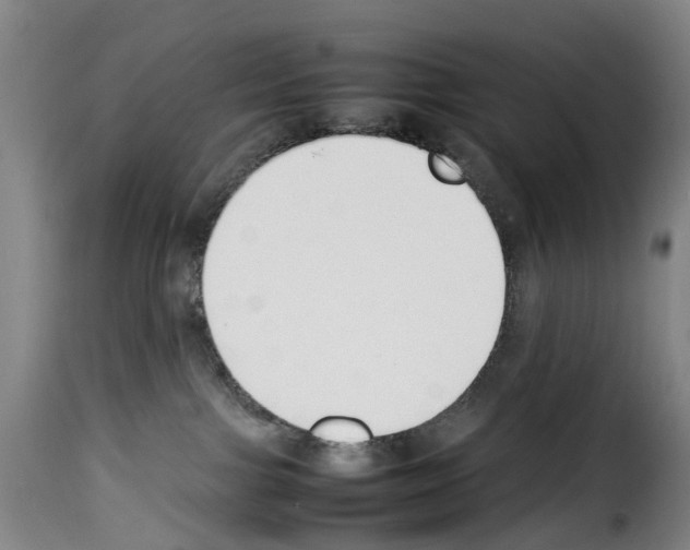 X0000114230091200911201120