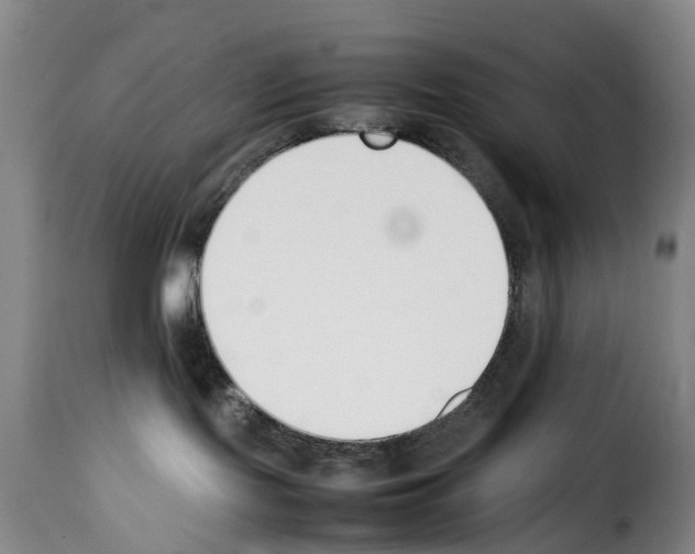 X0000114230095200911201120