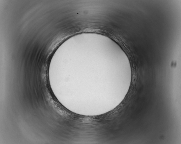 X0000114230098200911201119