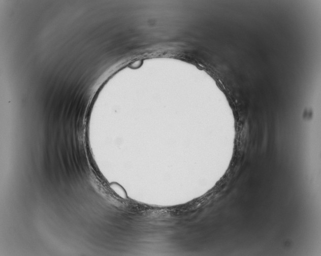 X0000114230100200911201119