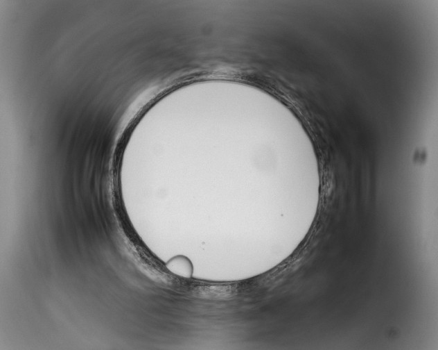 X0000114230102200911201119