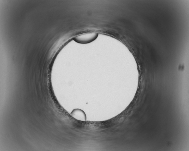 X0000114230103200911201119