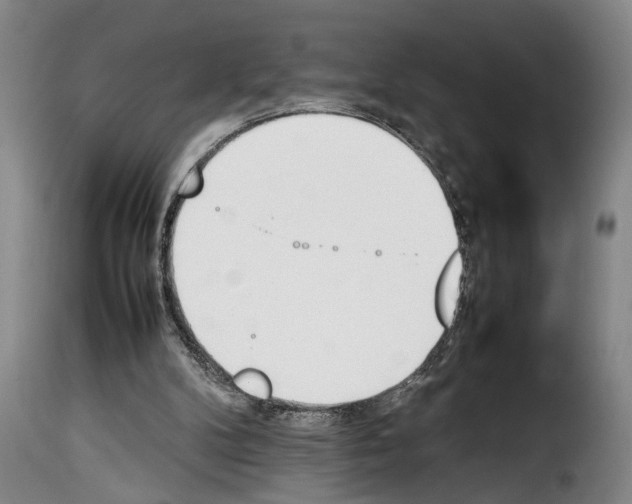 X0000114230104200911201119