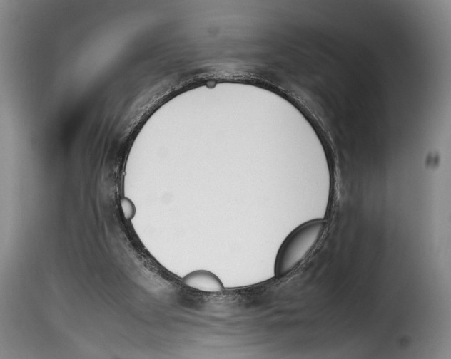 X0000114230105200911201119