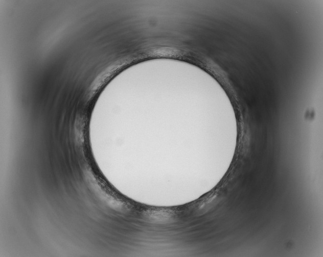 X0000114230106200911201119