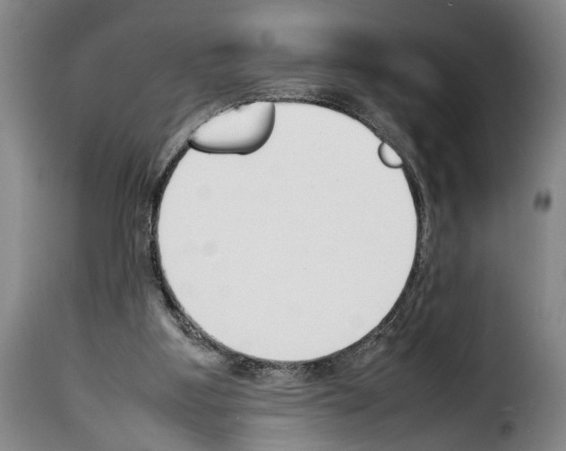 X0000114230107200911201119