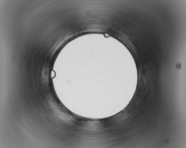 X0000114230108200911201119