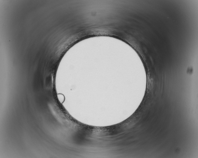 X0000114230109200911201119