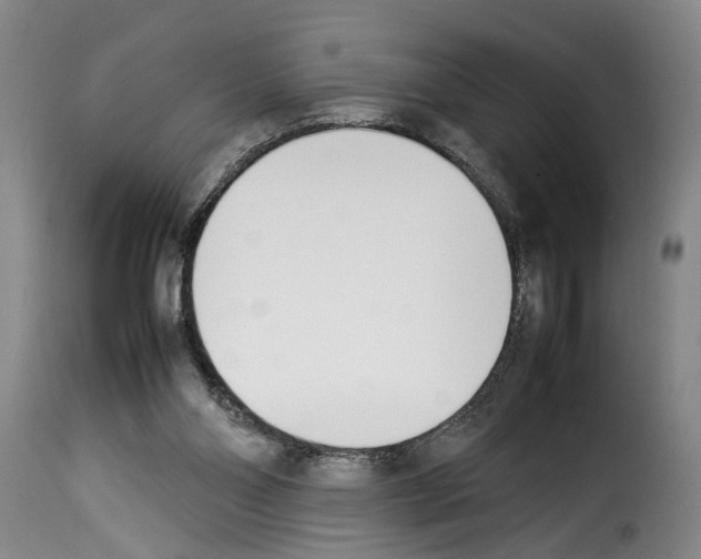 X0000114230110200911201119