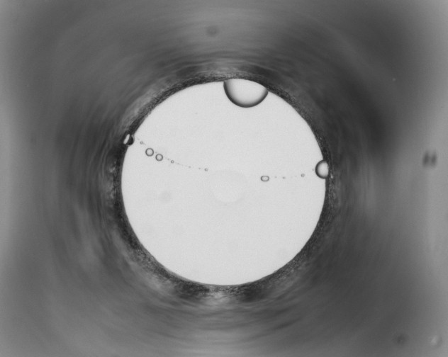 X0000114230111200911201119
