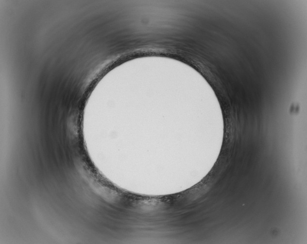 X0000114230112200911201119