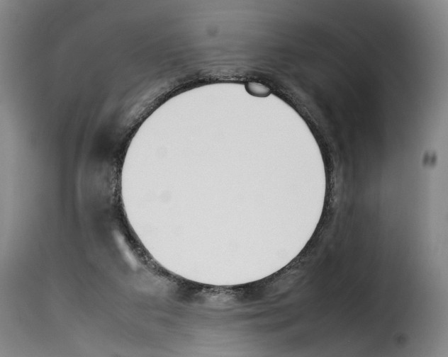 X0000114230113200911201119