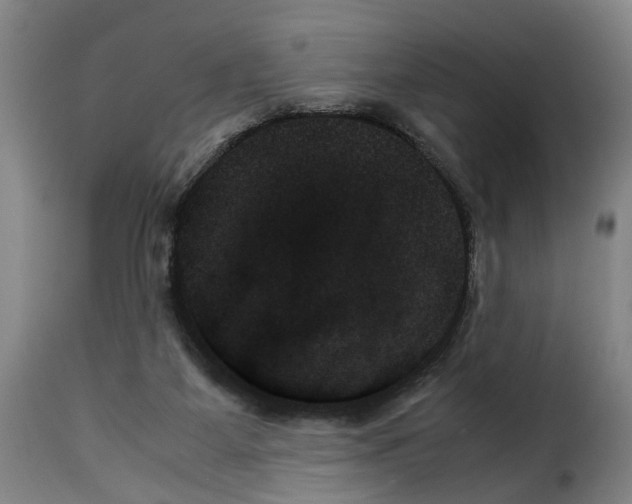 X0000114230115200911201119