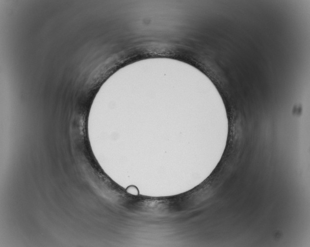 X0000114230117200911201119