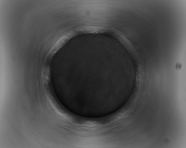 X0000114230119200911201119