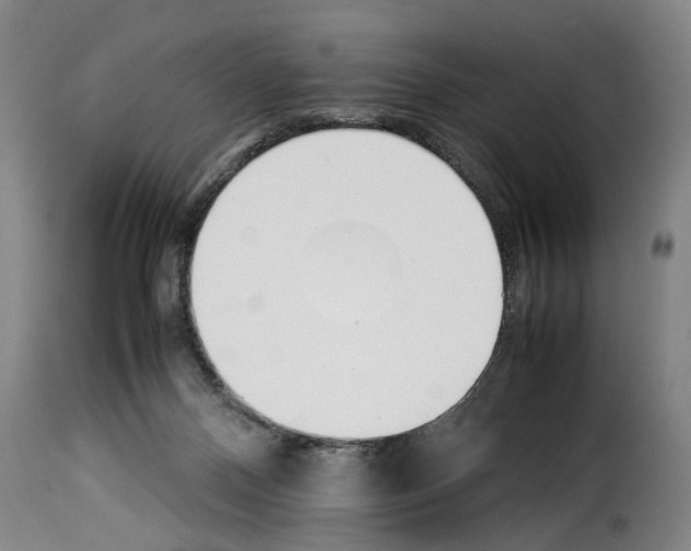 X0000114230120200911201119