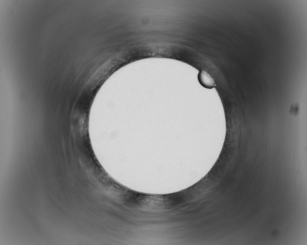 X0000114230123200911201119
