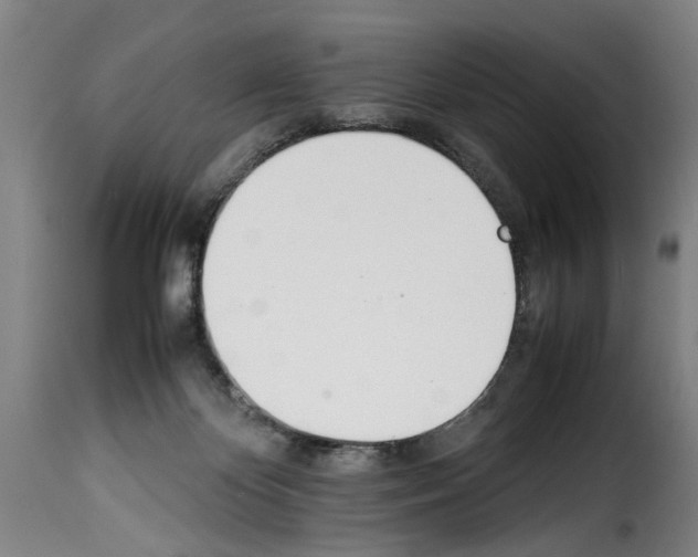 X0000114230124200911201119