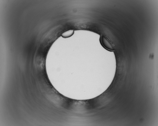 X0000114230125200911201119