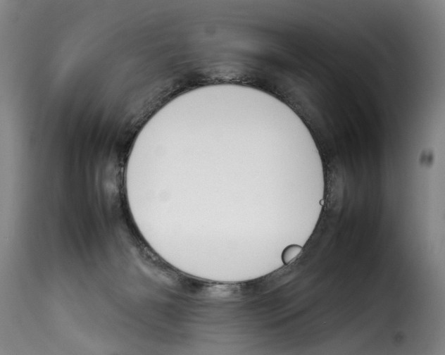 X0000114230126200911201119