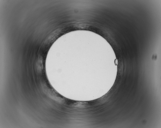 X0000114230128200911201119