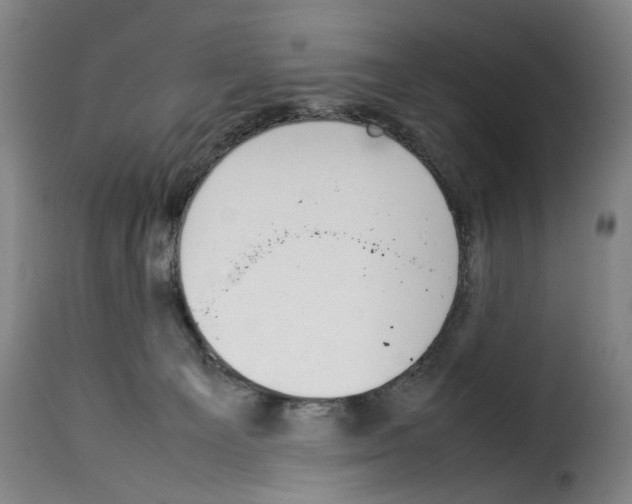 X0000114230129200911201119