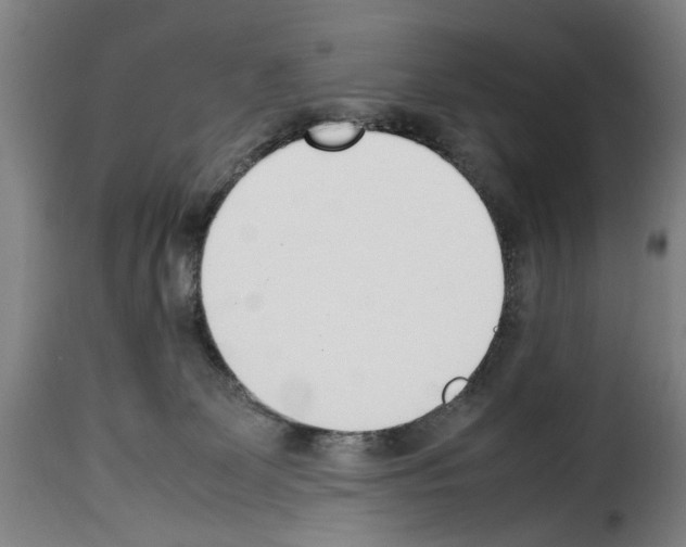 X0000114230131200911201119