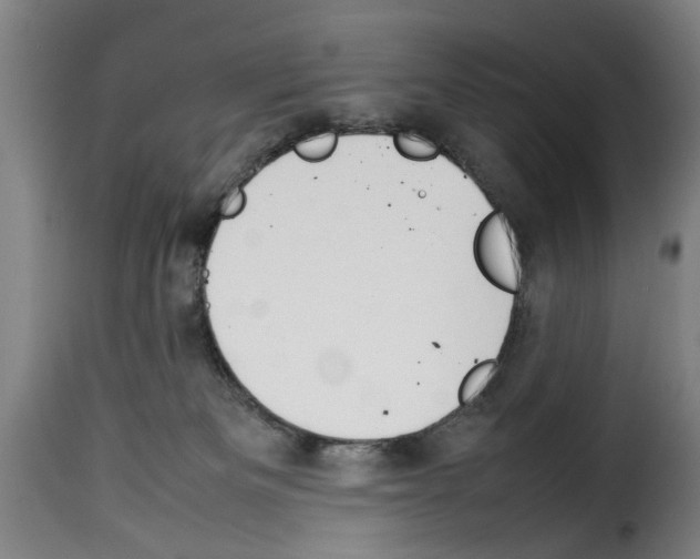 X0000114230133200911201119