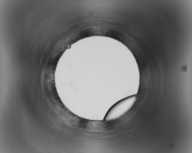 X0000114230137200911201119