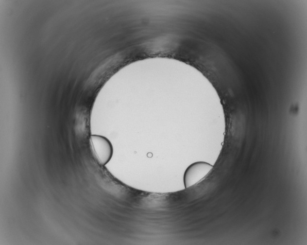 X0000114230138200911201119