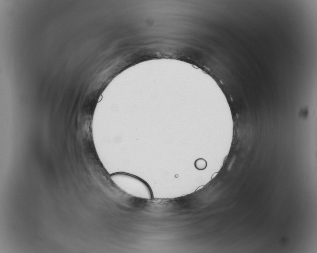 X0000114230141200911201119
