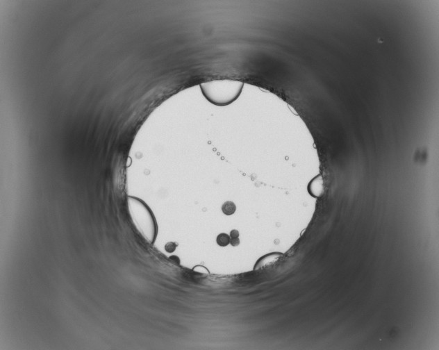 X0000114230143200911201119