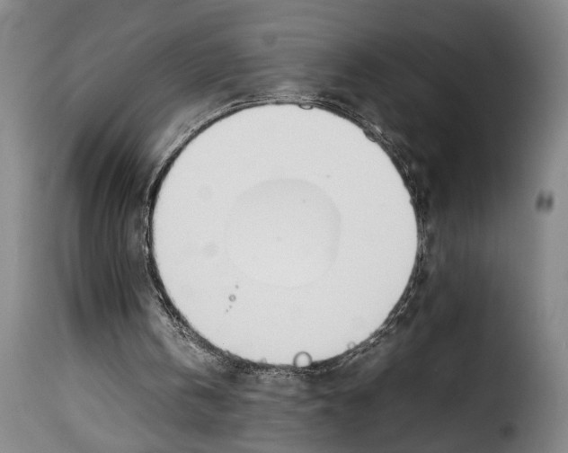 X0000114230146200911201118