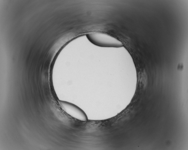 X0000114230148200911201118