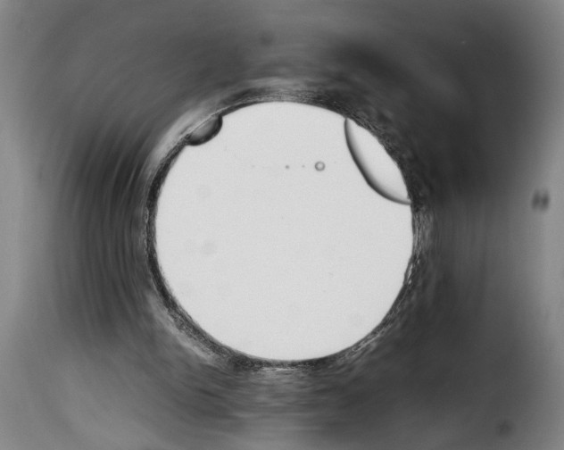X0000114230150200911201118