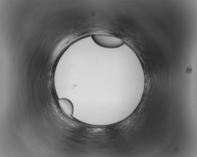 X0000114230151200911201118
