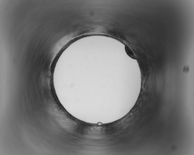 X0000114230152200911201118
