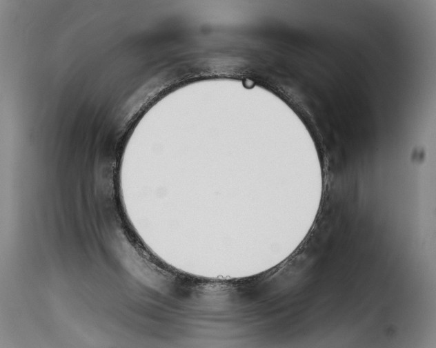 X0000114230154200911201118