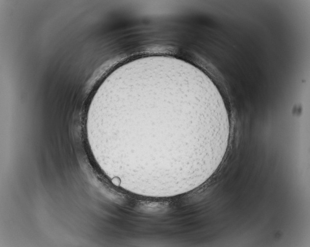 X0000114230155200911201118